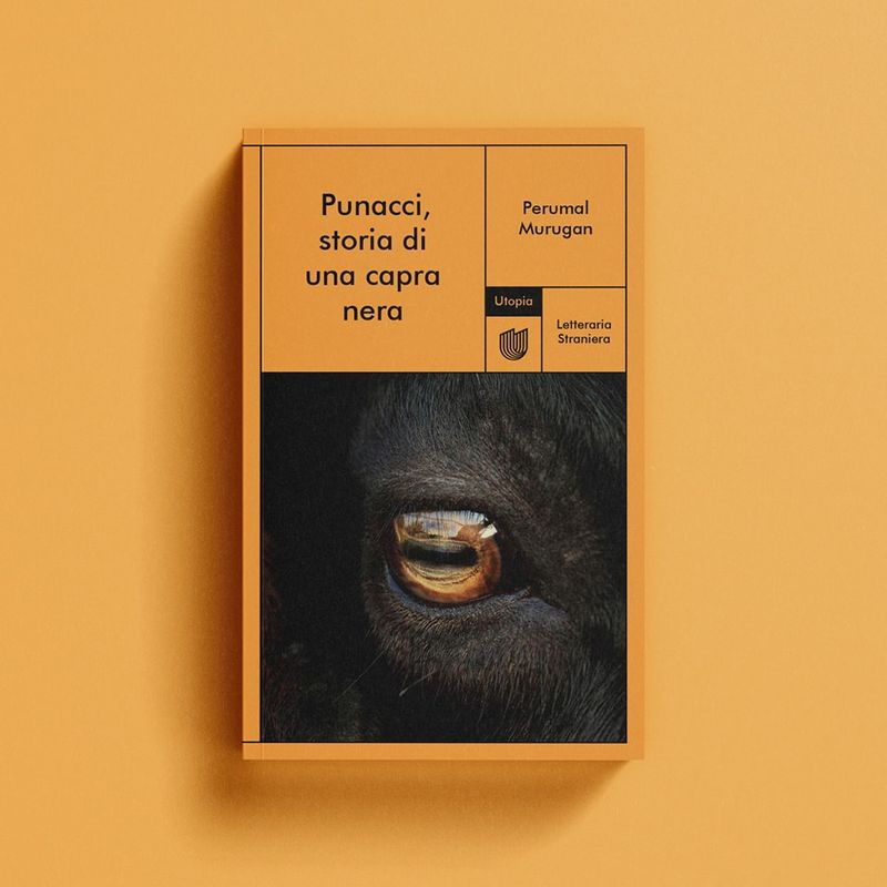 Recensioni libri