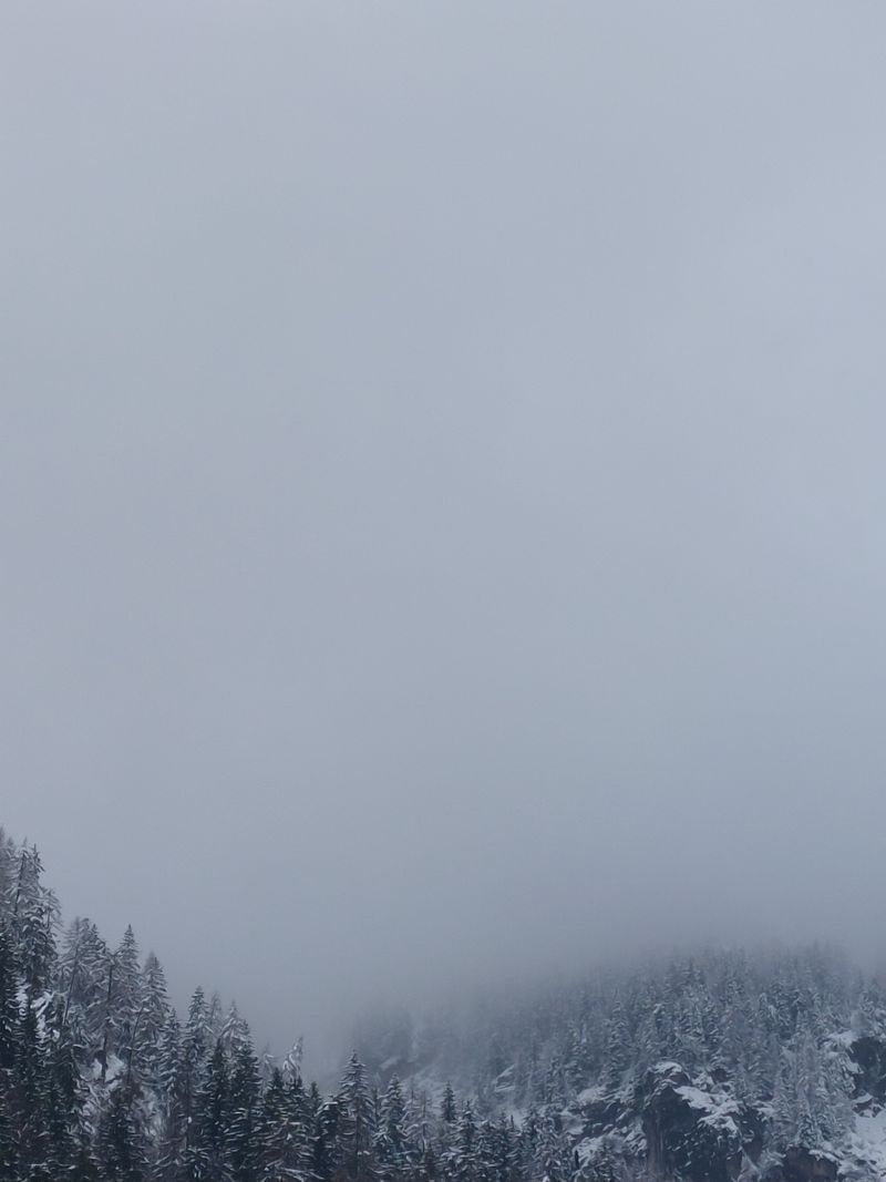 Persi nelal nebbia